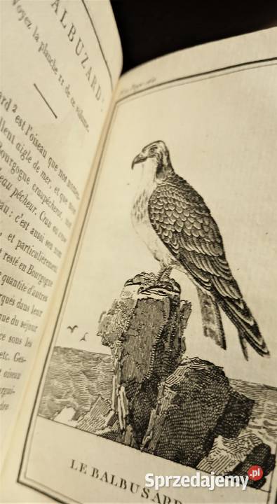 Starodruk Buffon Histoire Naturelle des Oiseaux