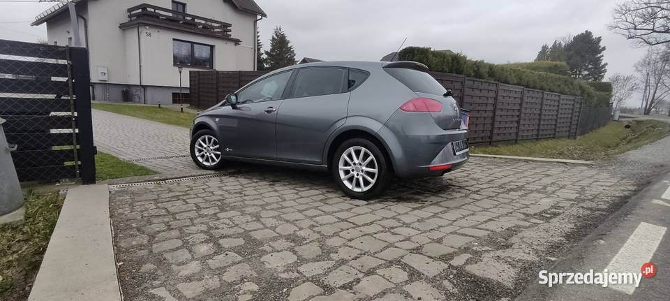 Seat Leon Gotowy do rejestracji radio Drogomyśl