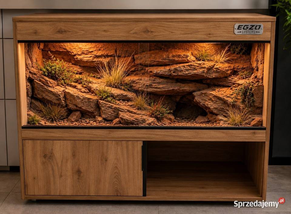 Okazja terrarium gekona lamparciego agamy Gliwice