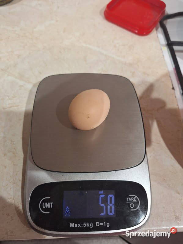 Jajka wiejskie eko Dubielno