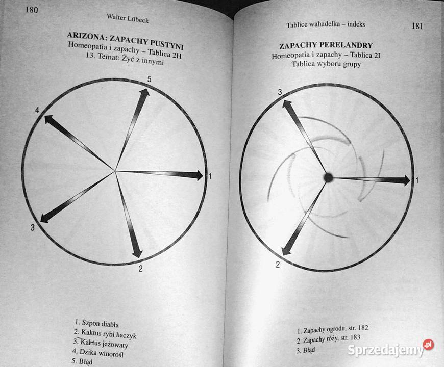 Wahadełko Podręcznik uzdrawiania Walter Lubeck lubelskie