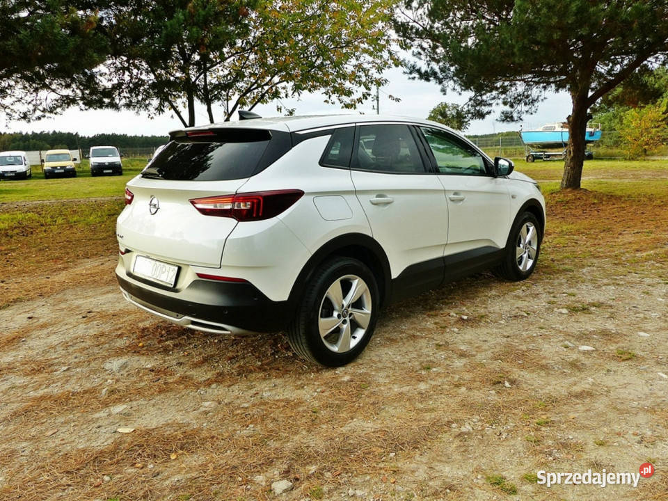 Opel Grandland X 15 autoalarm Piła