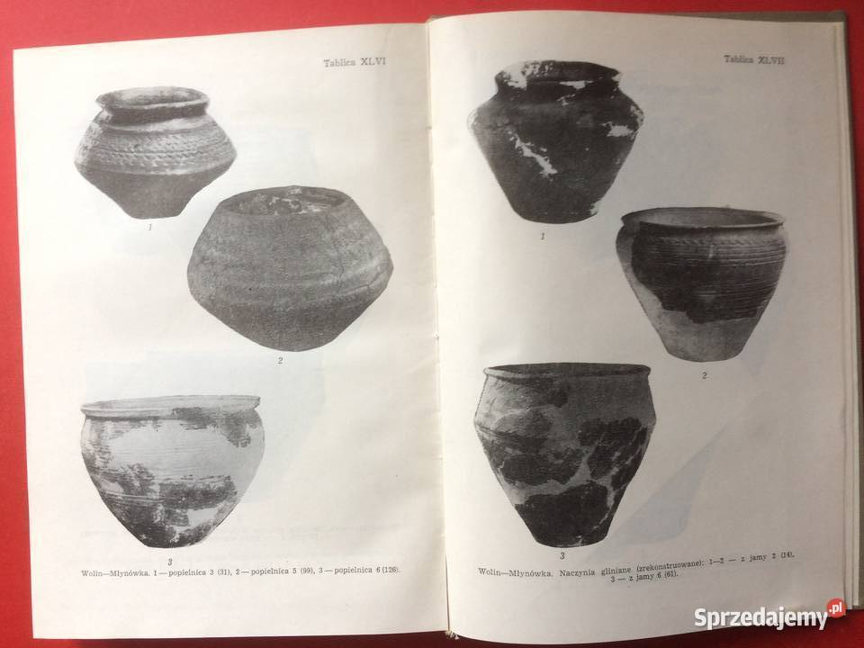 3258 Cmentarzysko WczesnośredMłynówka W Wolinie