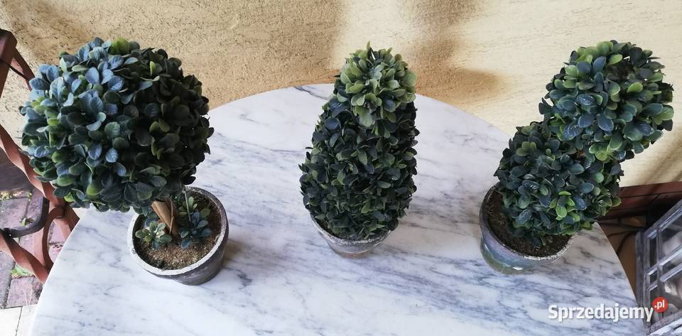 Drzewko sztuczne bukszpan choinka kula w Garwolin