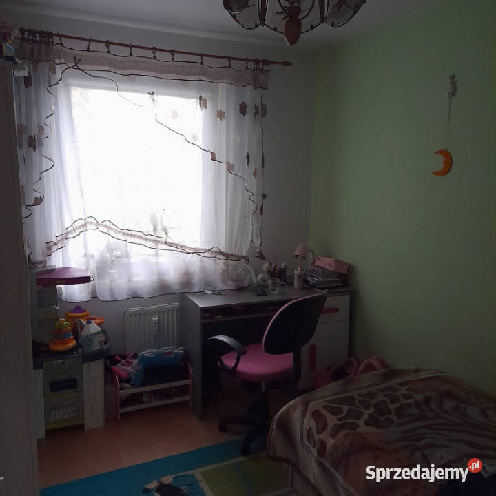 Wynajmę 1112025 mieszkanie 2 pokojowe sprzedam