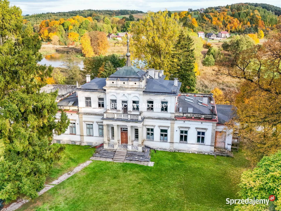 Sprzedam lokal Działoszyce 982m2 982m2 Sprzedaż