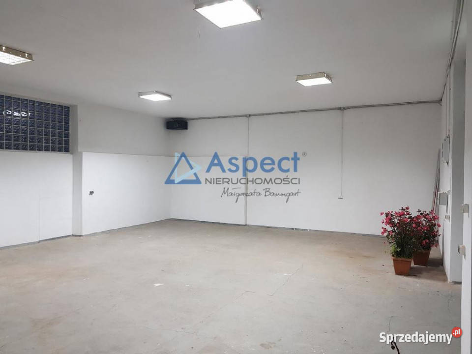 Lokal 100m2 Szczecin Wynajem zachodniopomorskie