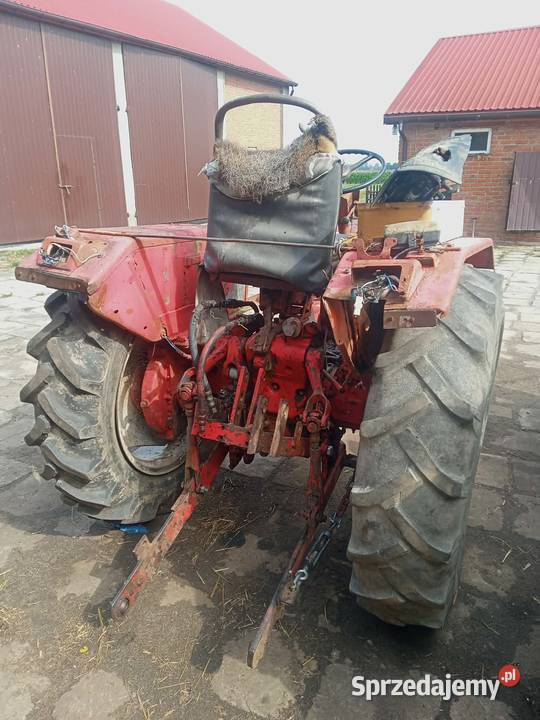 Sprzedam t25 Gęś sprzedam