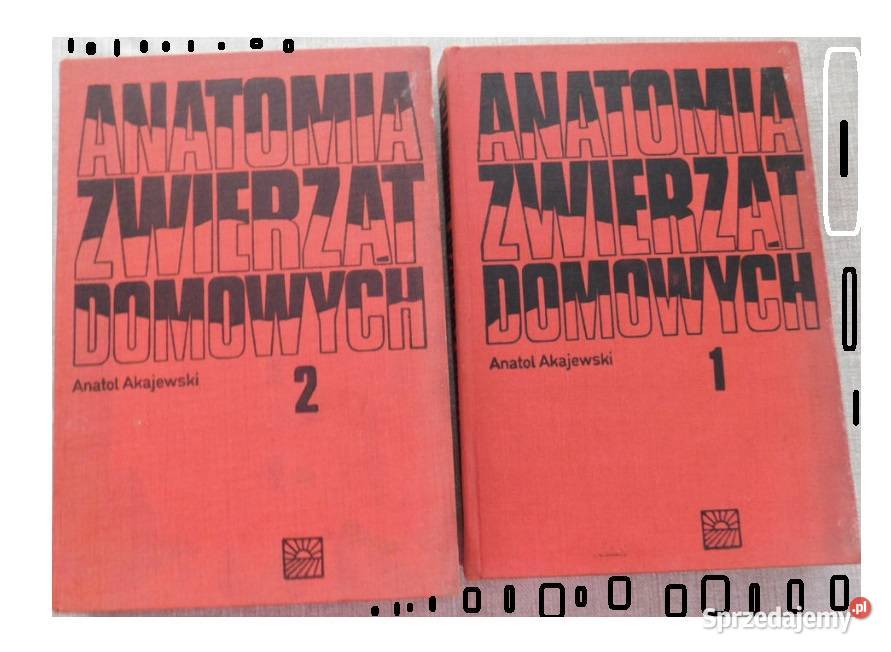 Anatomia zwierząt domowych 2 tomy A Akajewski Osięciny