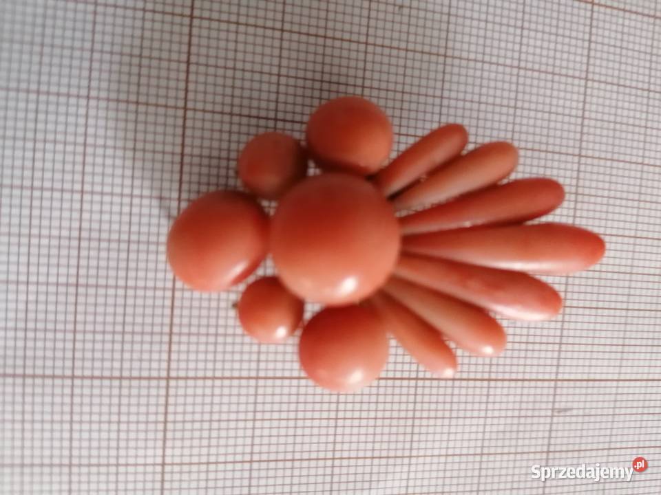 Broszka Koral Antyk Złoto IXX w Antyki