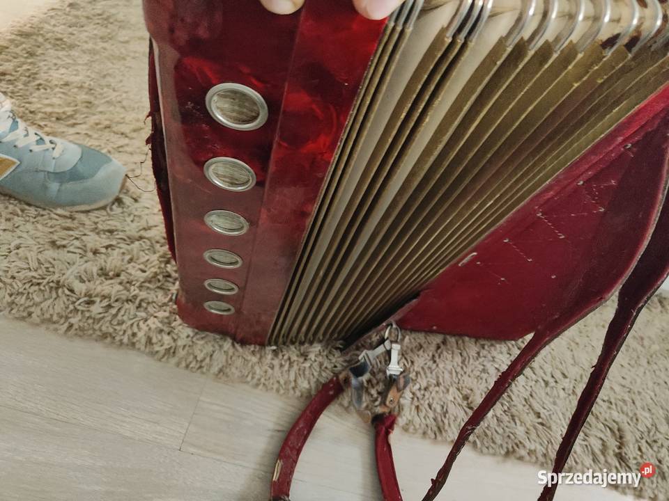 Akordeon Horch 120 basów