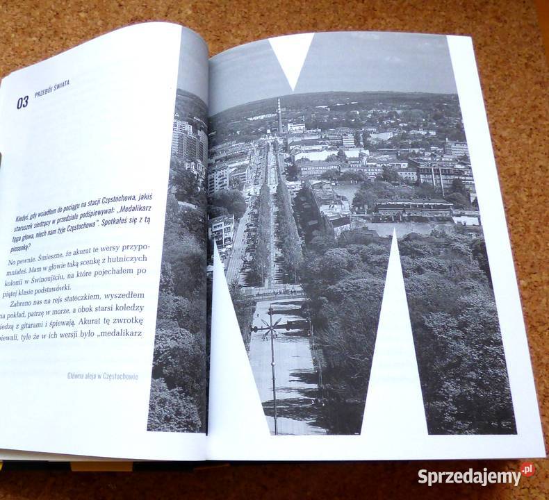 x L King Muniek Staszczyk Autobiografia mazowieckie Warszawa sprzedam