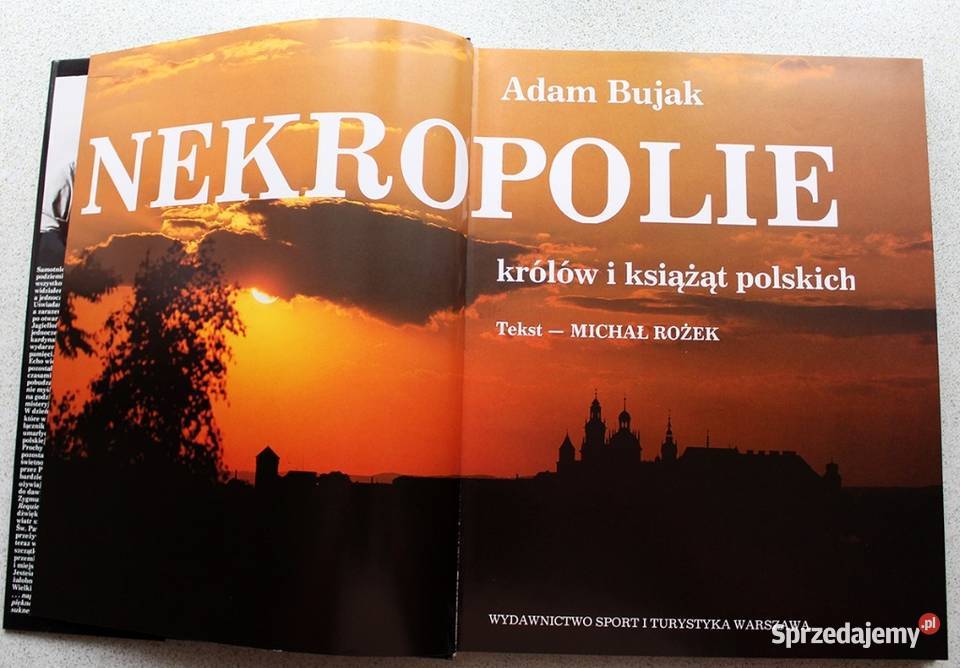 Nekropolie Adam Bujak Kruszwica