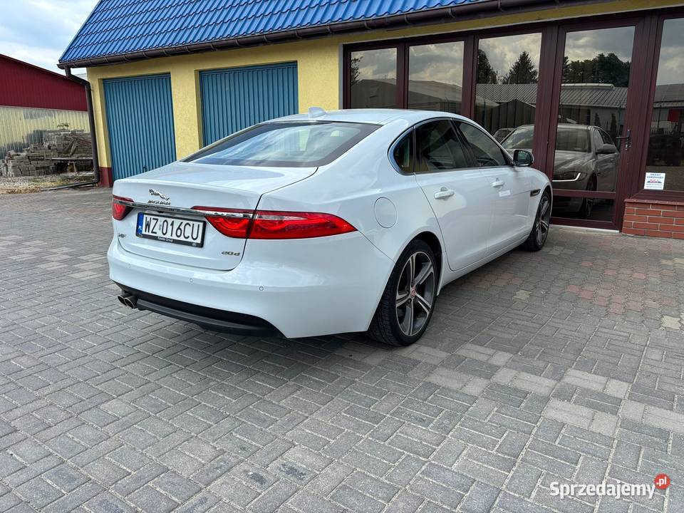 Jaguar XF 20d 2015r Biała Perła OKAZJA Zamość