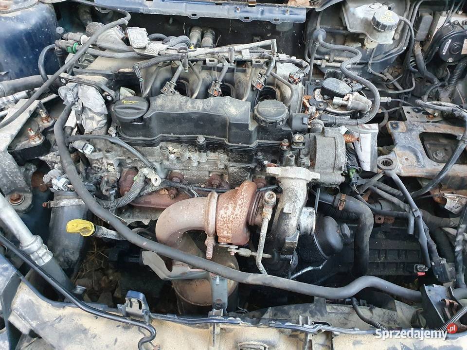 Nowe Sprężyny Czerwone Jamex Sportowe Ford Focus