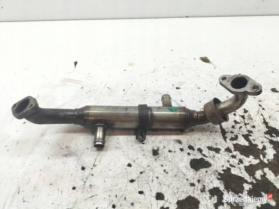 CHŁODNICA SPALIN A6391400375 15 D Mitsubishi Rok produkcji 2005 Recyrkulacja spalin EGR świętokrzyskie