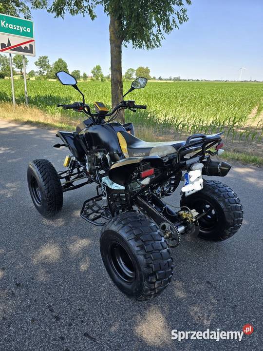 Quad Bashan Bs 250cc Duża Rama 41R Ciecz 2014r kujawsko-pomorskie Kruszwica sprzedam