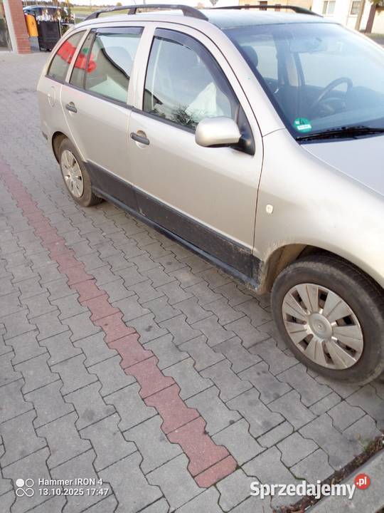 Fabia wielkopolskie Borek Wielkopolski