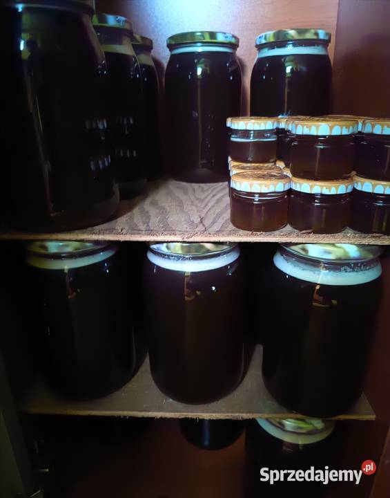 sprzedam miód wielokwiatowy i spadziowy z Lechów