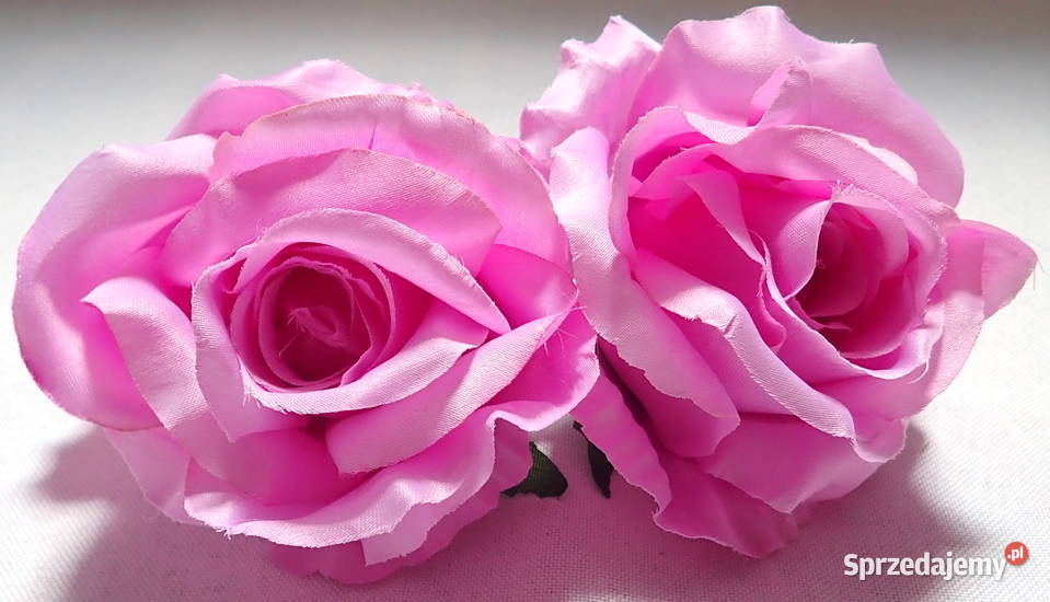 Róże rozwinięte różne kolory 1 śred 11 LA641 Pozostałe Siewierz