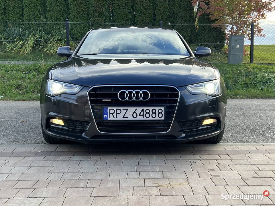 20 TDI 190 QUATTRO Brązowe skóry łopatki zmiany Kańczuga sprzedam