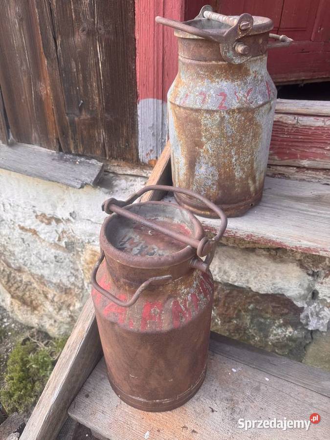 Dwie kanki na mleko Hodowla bydła Trzemeśnia