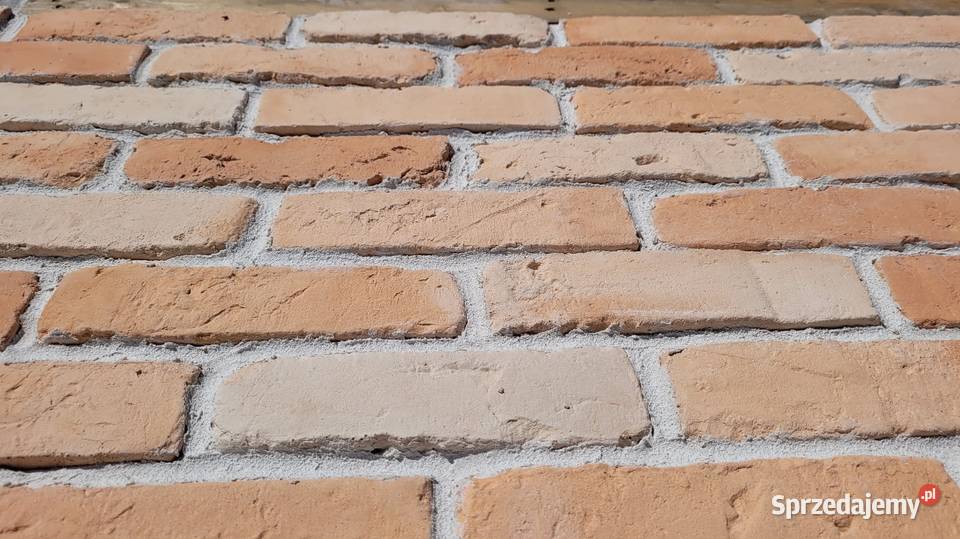 Lico cegły płytki ze starych cegieł na ścianę Wrocław