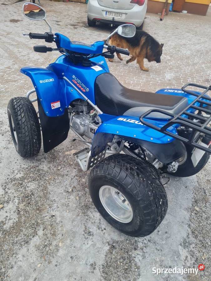 Suzuki nationial motor extreme 300 quad - ATV