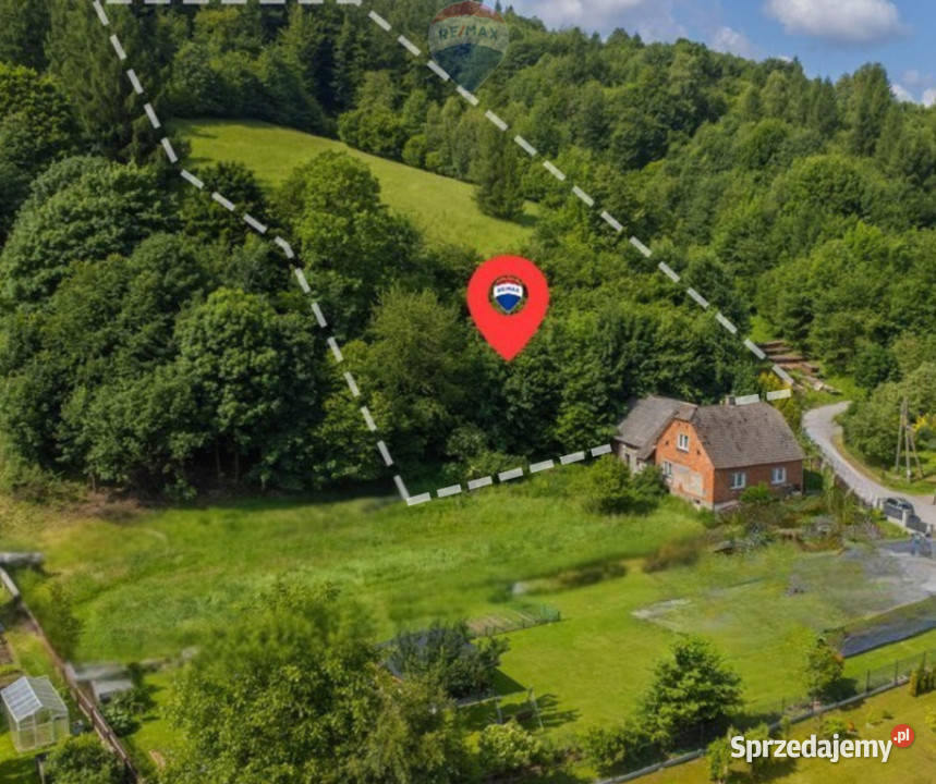 Działka leśna Rzyki