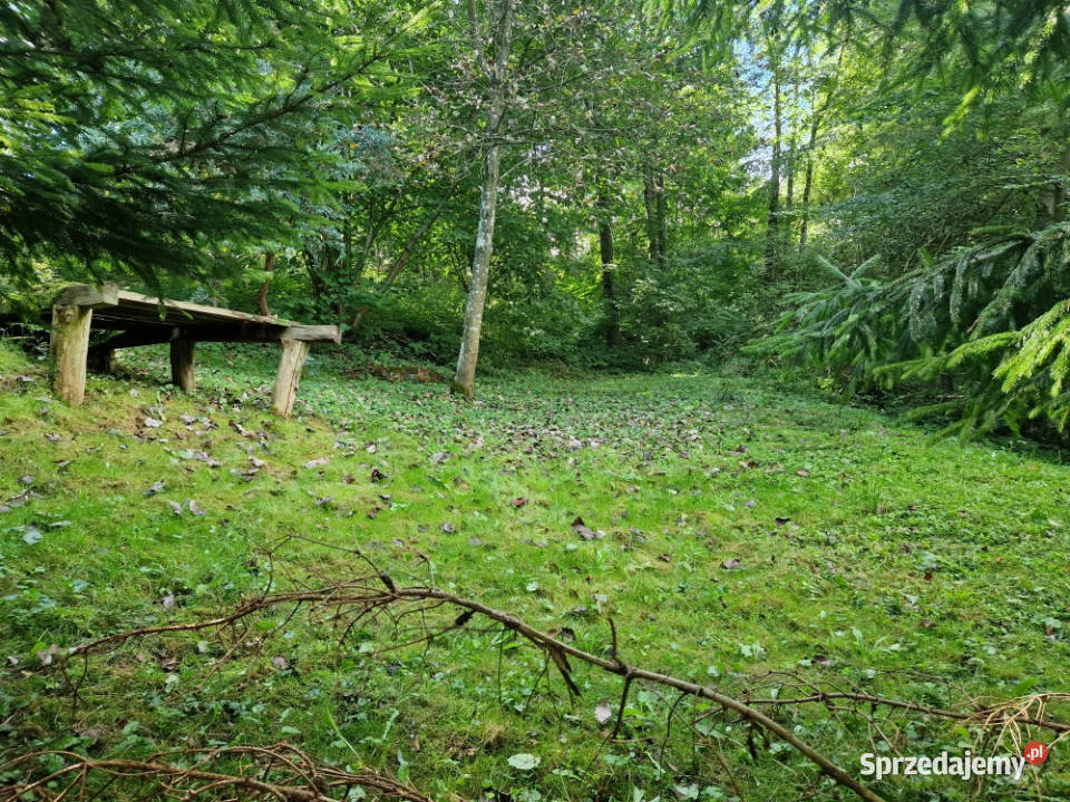 działka rekreacyjna jeziorem Lubasz