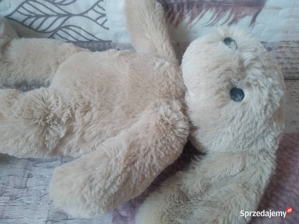 Maskotka pluszowa Zajączek Króliczek Dunnes Białystok