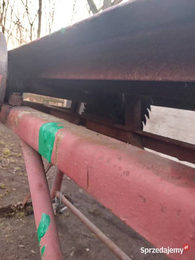 Krajzega masywna Kutno sprzedam