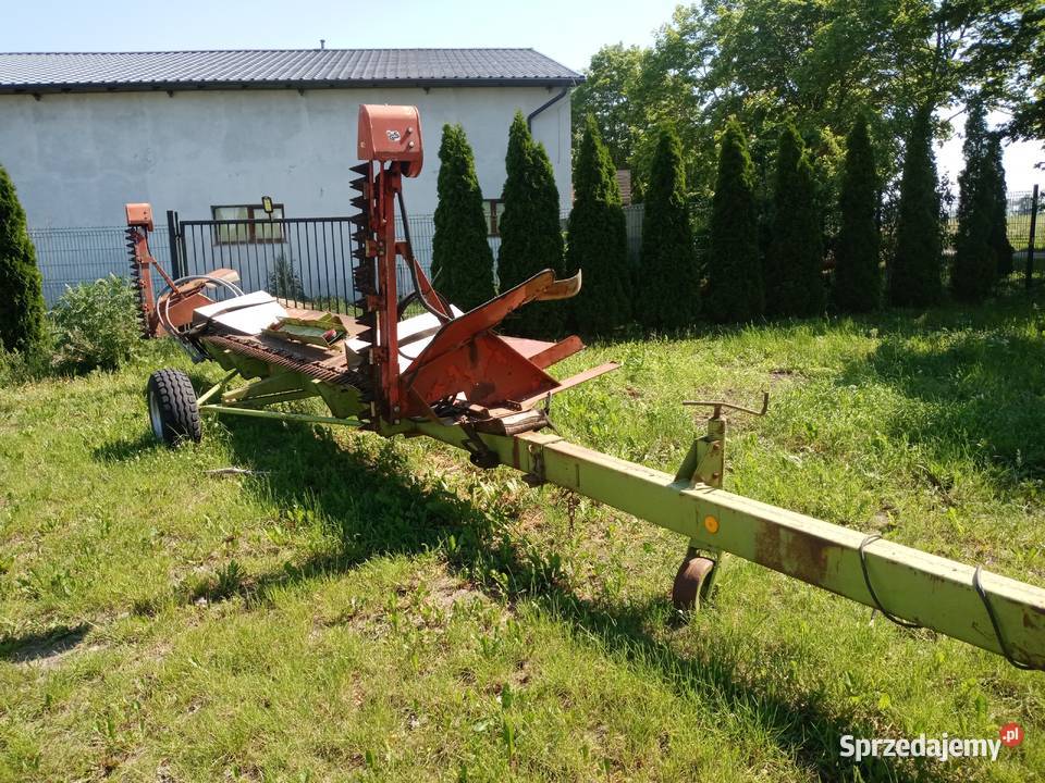 Claas Dominator Lexion stół do rzepaku 6 m Zbożowe kujawsko-pomorskie