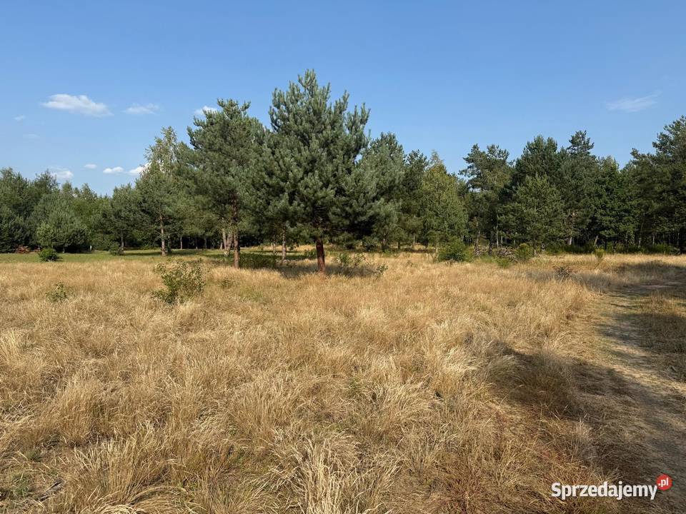 Działka z dostępem do jeziora Sumino Sprzedaż Gorzewo