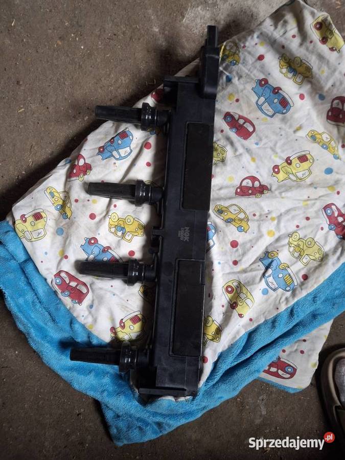 Cewki na listwie kujawsko-pomorskie