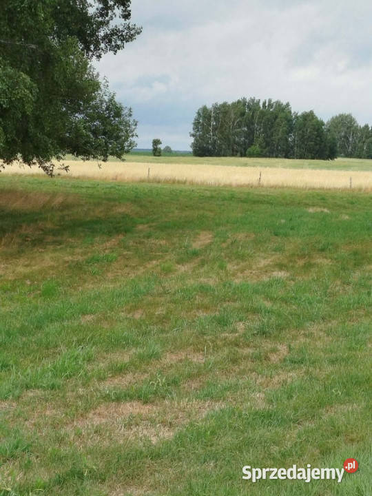 Działka z lasem i sadzawką teren z potencjałem 23zł/m2 podlaskie Sokółka