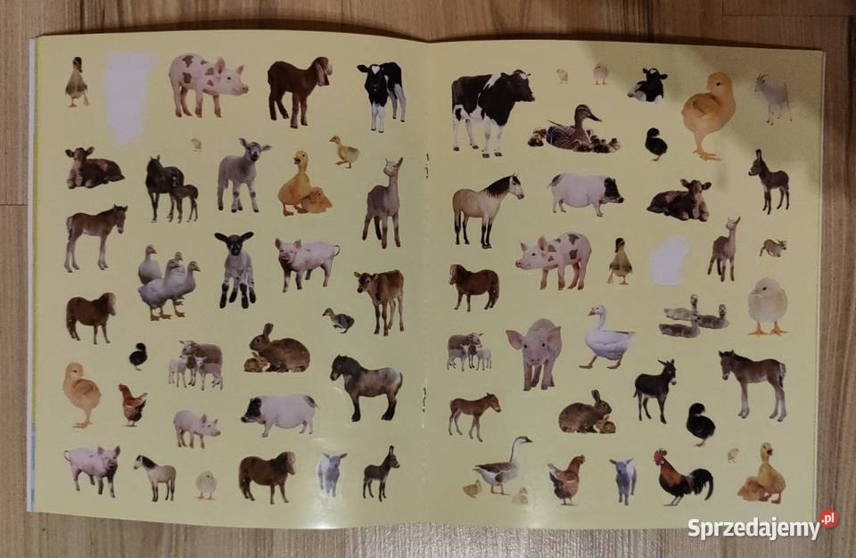 Dzieci zwierząt Zestaw książek z naklejkami i Warszawa