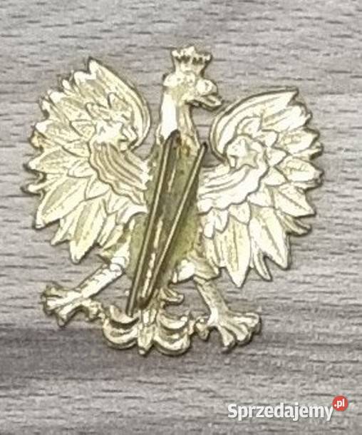 Orzeł Orzełek Orzełki Czapkowe Marynarka Wojenna Sosnowiec