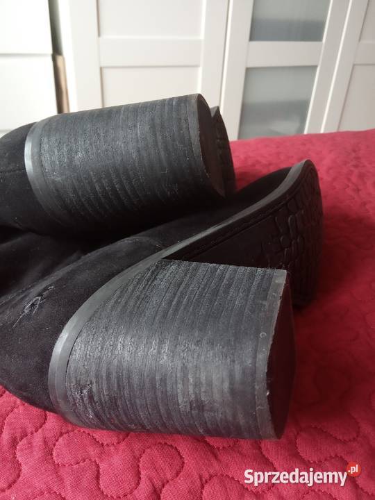 Kozaki kostkę Rocket Dog Warszawa