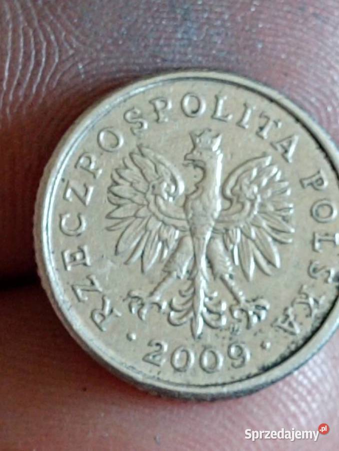 Sprzedam 10 groszy 2009 r Destrukt Chełm