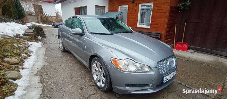 Ładny jaguar Kraków