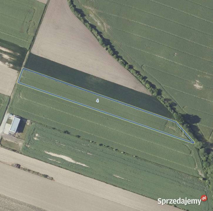 Działka 75 arów MPZP produkcjaroa Oleśnica