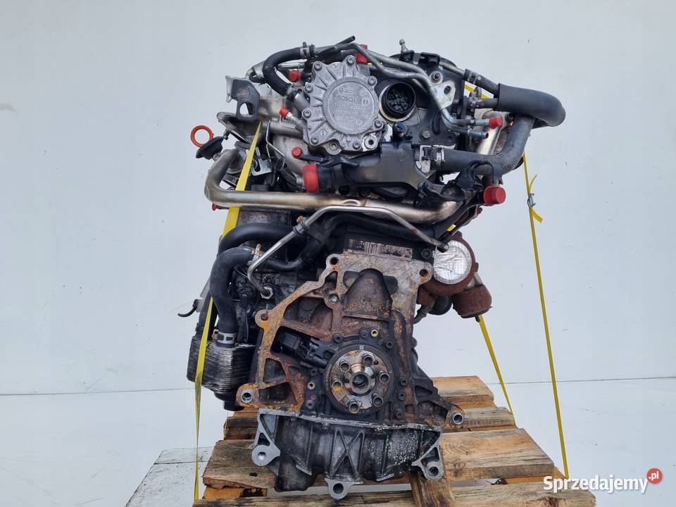 SILNIK KOMPLET Mitsubishi Grandis 20 DID TDI 146 Rudka