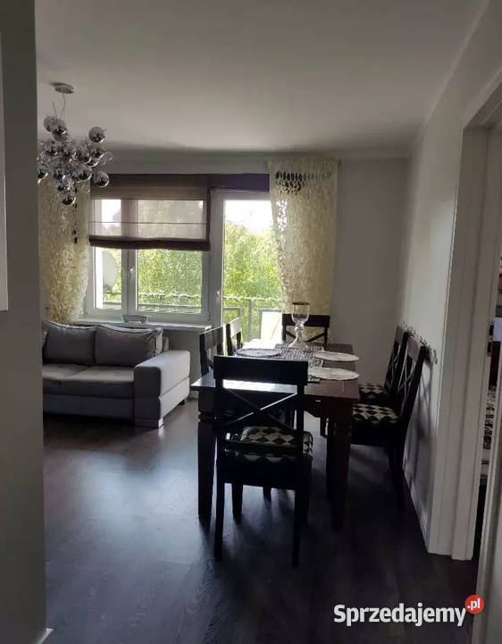 3 niezależne pokoje wolne września Gdańsk