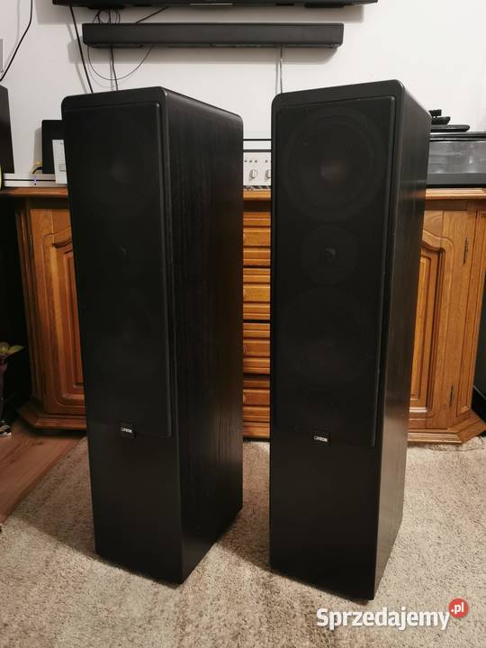 Kolumny Canton ergo 700 DC Sprzęt estradowy, studyjny i DJ-ski