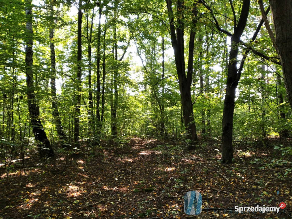 Działkę sprzedam Kosów 3000m2 mazowieckie sprzedam