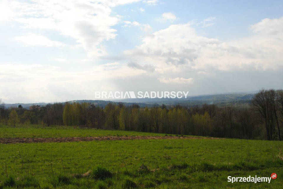 sprzedaży działki Gruszowiec 5500m2 sprzedam