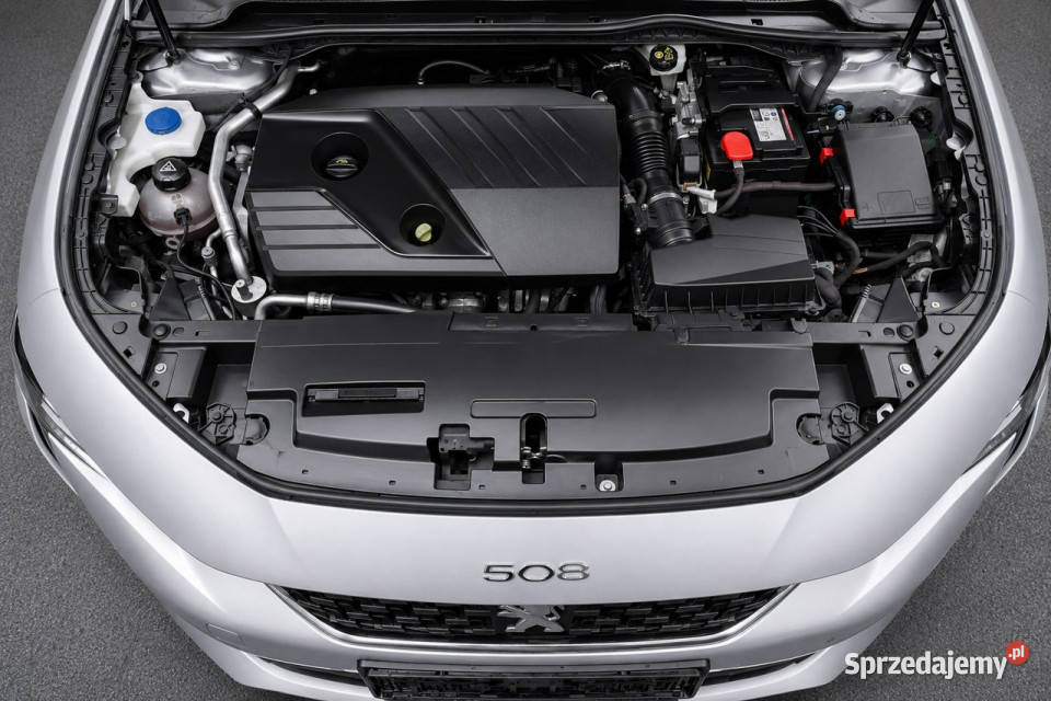 Peugeot 508 II 2018 508 wielkopolskie Sadlno