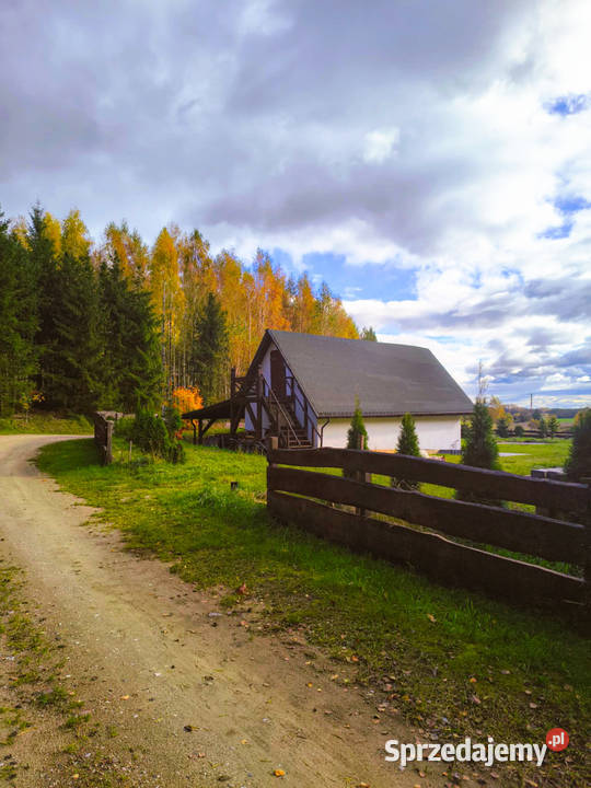 siedlisko dom na wsi lesie cisza 3000 m2 Stryjkowo