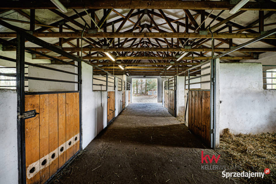 Lokal 550m2 Czarnybród sprzedam